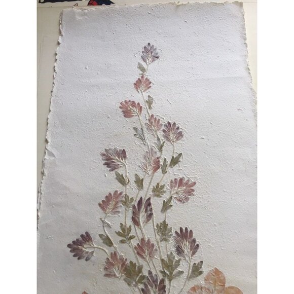 Pressed Flower Composition Signed '"Tavaria" St. Paul de Vence  Hand Made Paper - Picture 4 of 5